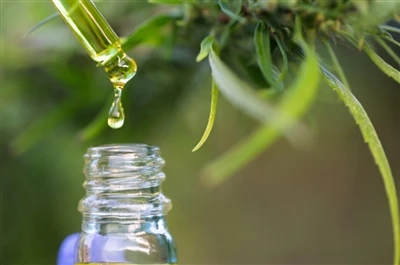 CBD vs. THC: Všetko, čo potrebujete vedieť