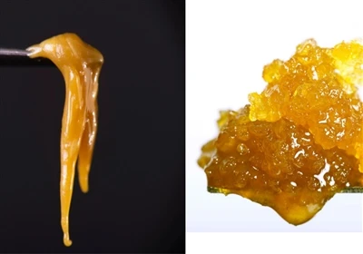 Live Resin vs. Live Rosin: Aký je rozdiel?